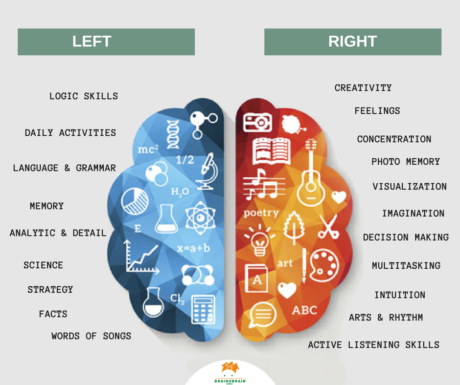 INTEGRATING THE TWO HEMISPHERES OF THE BRAIN